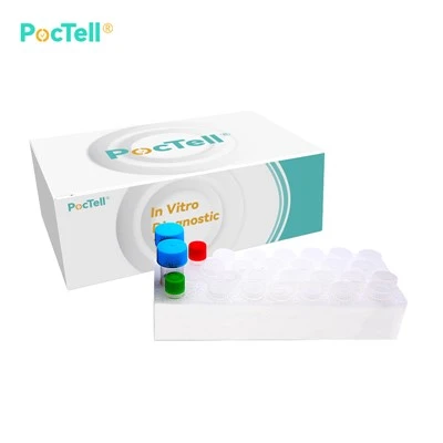 Enterovirus PCR Kit